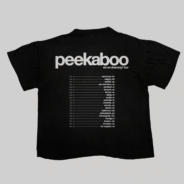 Are We Dreaming Tour Tee (BLACK)