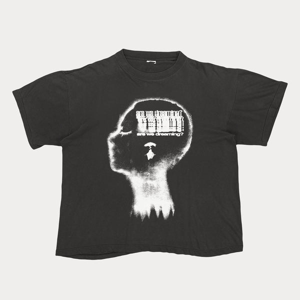 Are We Dreaming Tour Tee (GRAY)